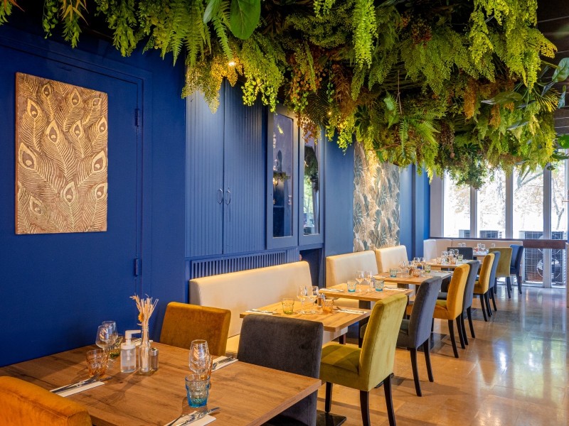 Bar afterwork Lyon 7 : tapas, planches et pétanque entre collègues ou entre amis